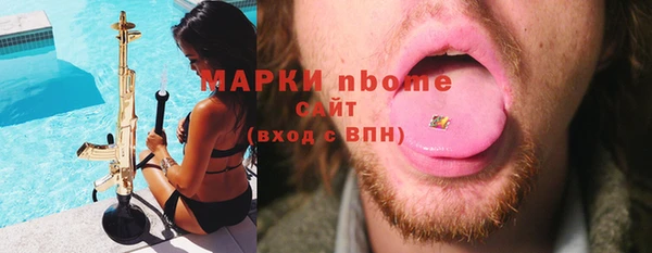 прущие грибы Баксан