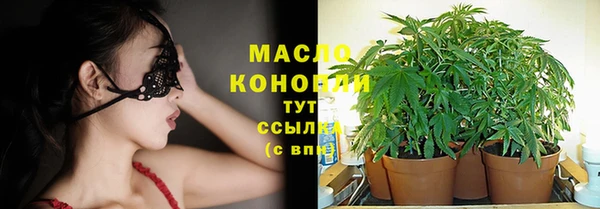 прущие грибы Баксан