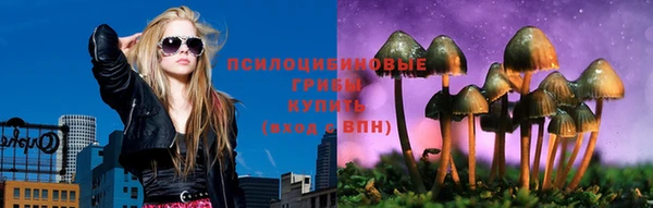 Альфа ПВП Балабаново