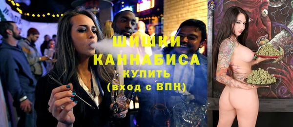 прущие грибы Баксан