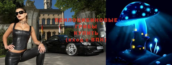 прущие грибы Баксан