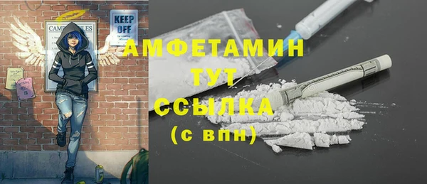 прущие грибы Баксан