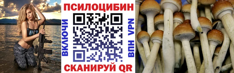 Псилоцибиновые грибы мицелий  Купить  Миллерово 